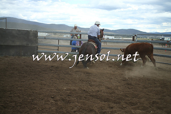 AdaminabyCampdraft2014_1410