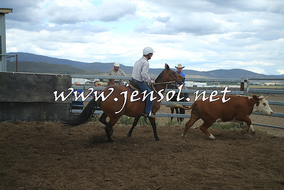 AdaminabyCampdraft2014_1483