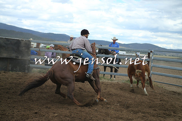 AdaminabyCampdraft2014_1342