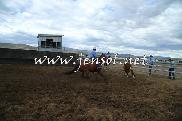AdaminabyCampdraft2014_1224