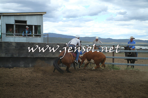 AdaminabyCampdraft2014_1498