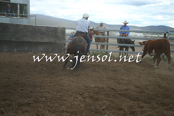 AdaminabyCampdraft2014_1405