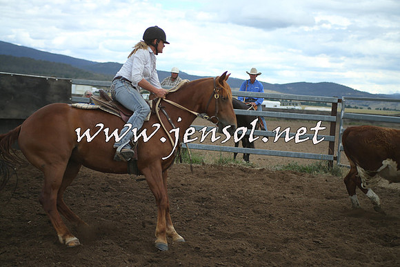 AdaminabyCampdraft2014_1385