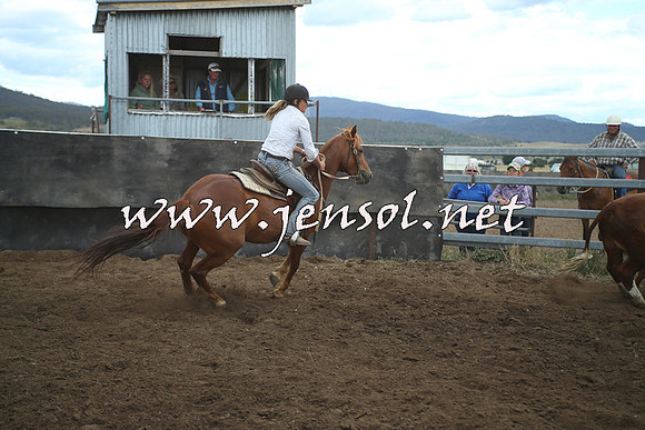 AdaminabyCampdraft2014_1389