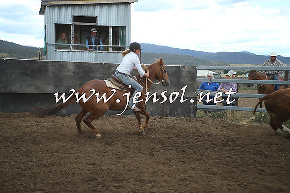 AdaminabyCampdraft2014_1390
