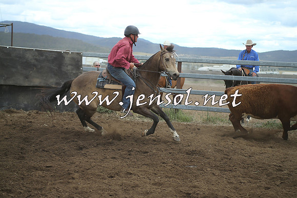 AdaminabyCampdraft2014_1372