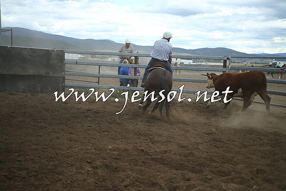 AdaminabyCampdraft2014_1409