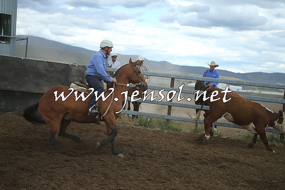 AdaminabyCampdraft2014_1505