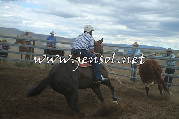 AdaminabyCampdraft2014_1398