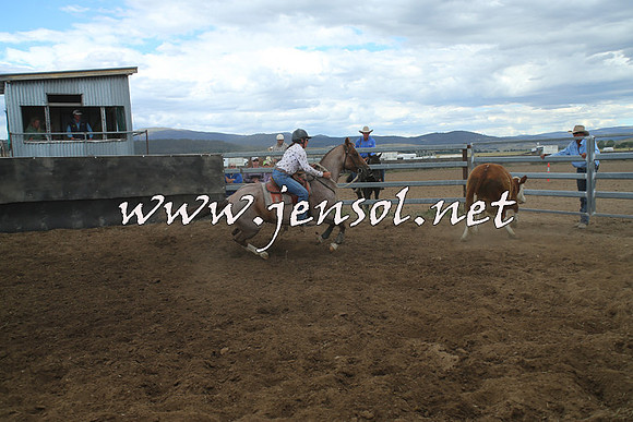 AdaminabyCampdraft2014_1279