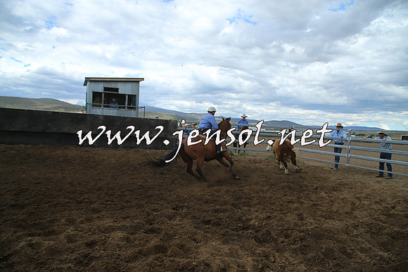 AdaminabyCampdraft2014_1225