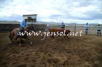 AdaminabyCampdraft2014_1217