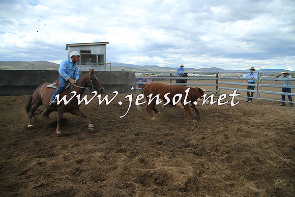 AdaminabyCampdraft2014_1217