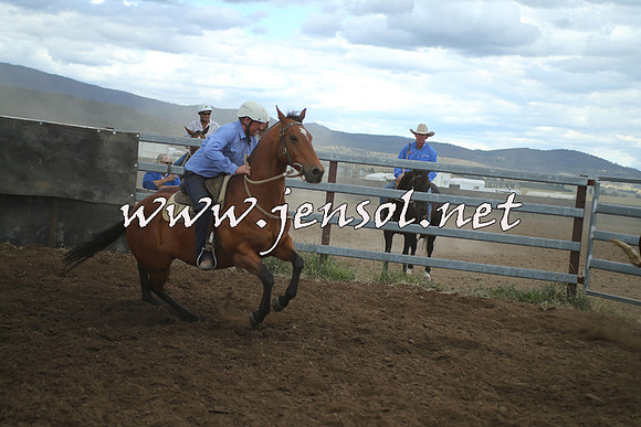 AdaminabyCampdraft2014_1504