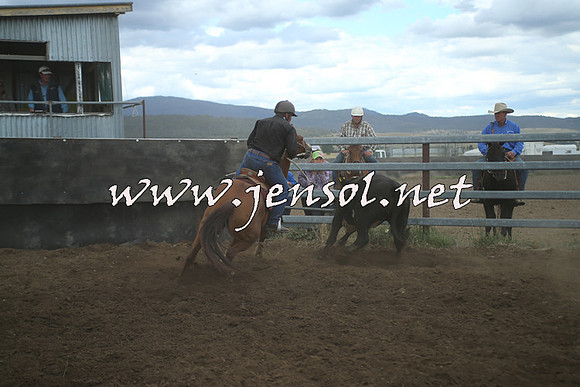 AdaminabyCampdraft2014_1475