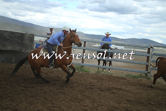 AdaminabyCampdraft2014_1506