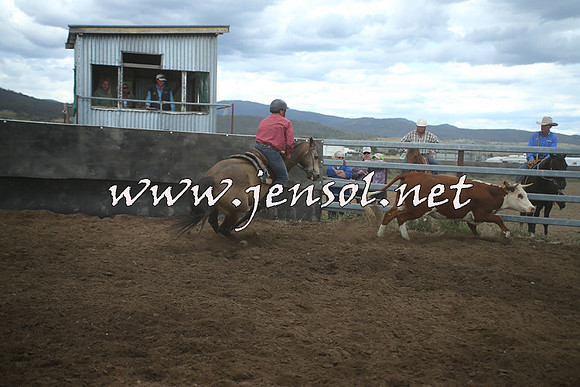 AdaminabyCampdraft2014_1552
