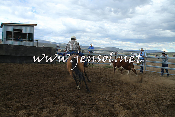 AdaminabyCampdraft2014_1238