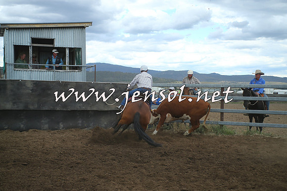 AdaminabyCampdraft2014_1497