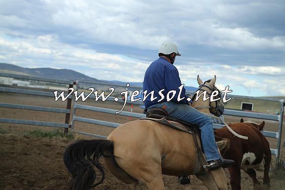 AdaminabyCampdraft2014_1231