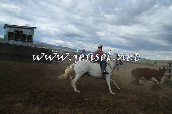 AdaminabyCampdraft2014_1214