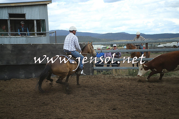 AdaminabyCampdraft2014_1359