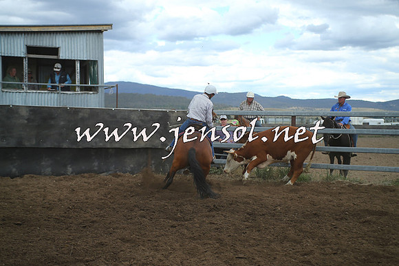 AdaminabyCampdraft2014_1488