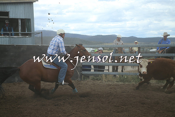 AdaminabyCampdraft2014_1321