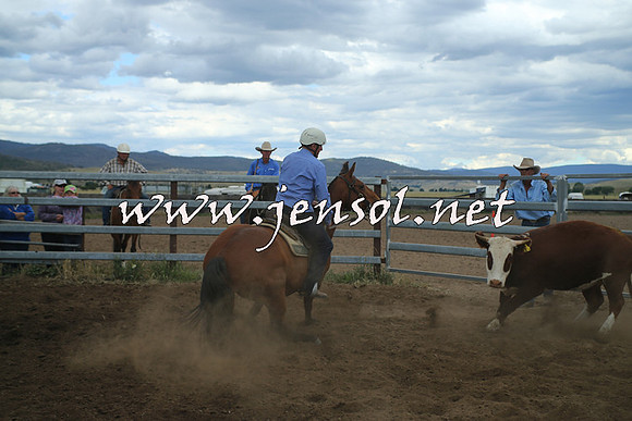 AdaminabyCampdraft2014_1525