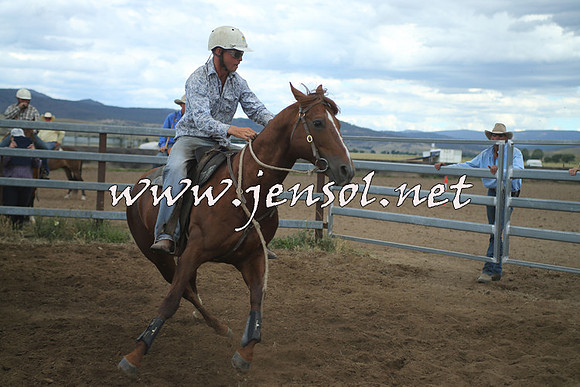 AdaminabyCampdraft2014_1291