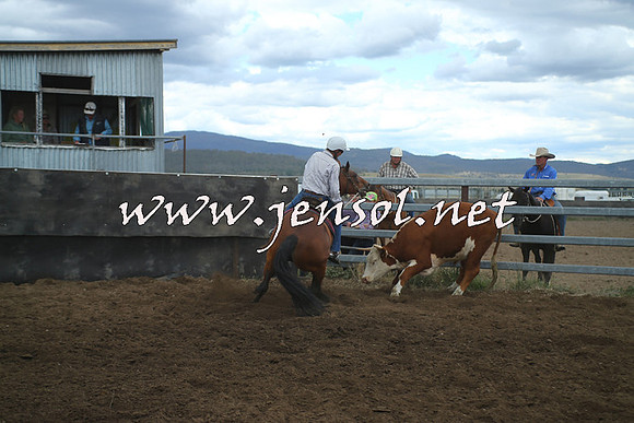 AdaminabyCampdraft2014_1490