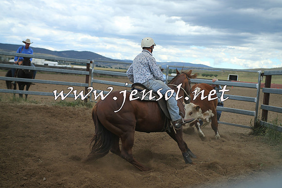 AdaminabyCampdraft2014_1312