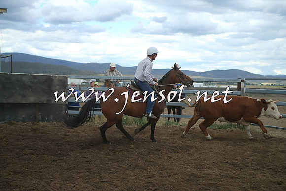 AdaminabyCampdraft2014_1481