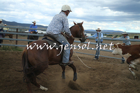 AdaminabyCampdraft2014_1295