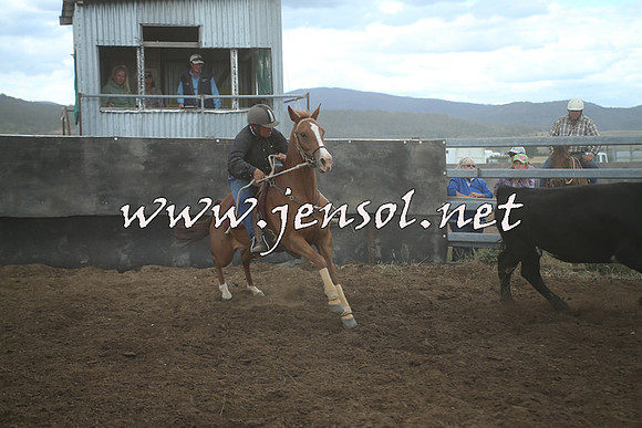 AdaminabyCampdraft2014_1458