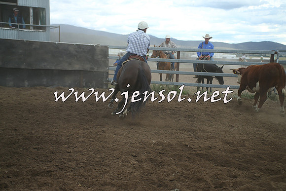 AdaminabyCampdraft2014_1403