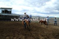 AdaminabyCampdraft2014_1237
