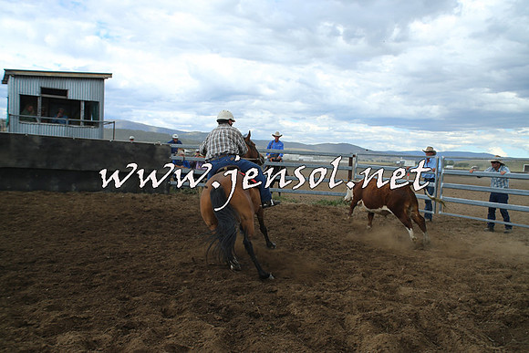 AdaminabyCampdraft2014_1237