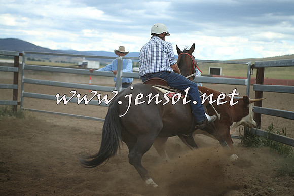 AdaminabyCampdraft2014_1414