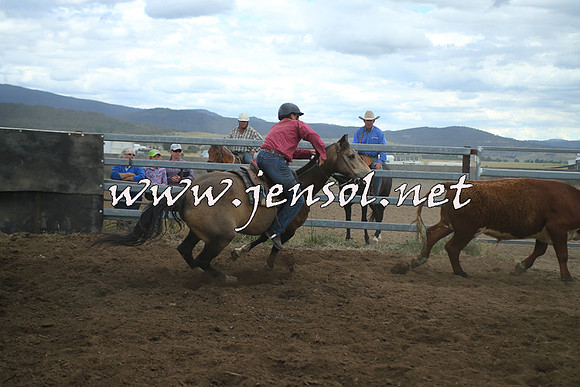 AdaminabyCampdraft2014_1375