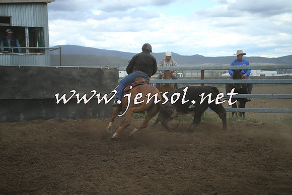 AdaminabyCampdraft2014_1476