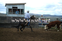 AdaminabyCampdraft2014_1241