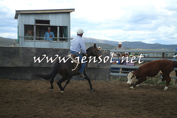 AdaminabyCampdraft2014_1241