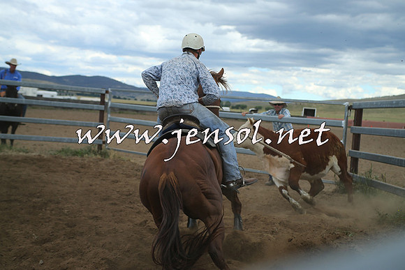 AdaminabyCampdraft2014_1303