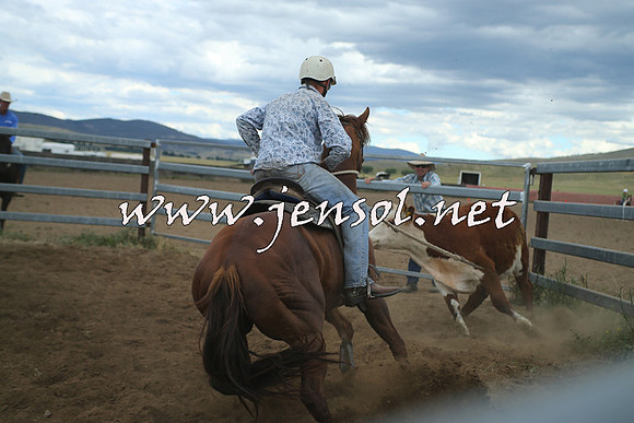AdaminabyCampdraft2014_1305