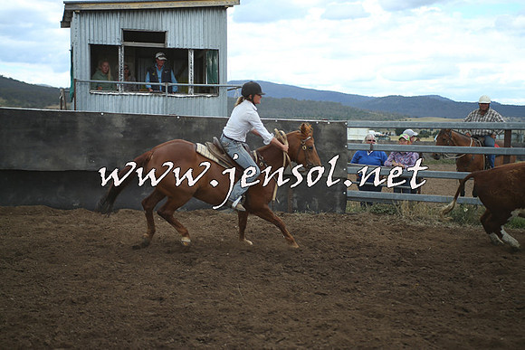 AdaminabyCampdraft2014_1391