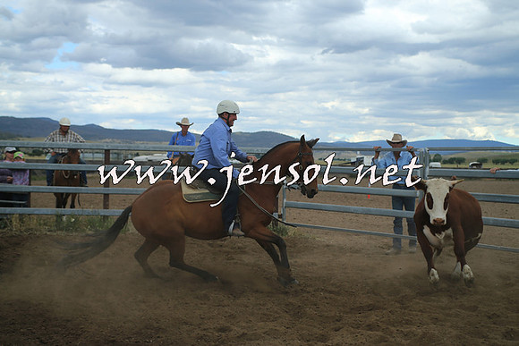 AdaminabyCampdraft2014_1529