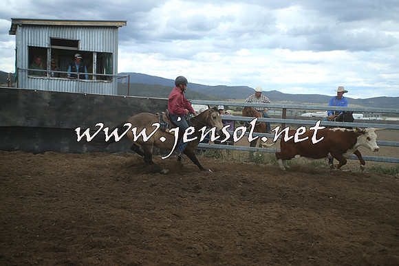 AdaminabyCampdraft2014_1548