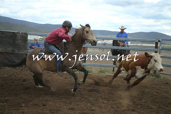 AdaminabyCampdraft2014_1367