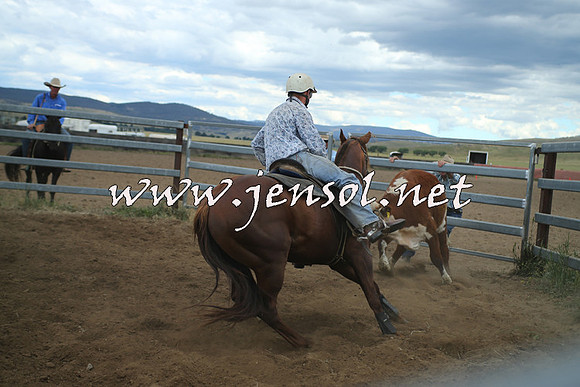 AdaminabyCampdraft2014_1310